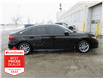 2024 Honda Civic EX (Stk: U1385) in Ottawa - Image 7 of 19
