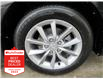 2024 Honda Civic EX (Stk: U1385) in Ottawa - Image 15 of 19