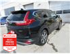 2018 Honda CR-V EX-L (Stk: U1389) in Ottawa - Image 6 of 20