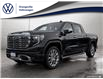 2023 GMC Sierra 1500 Denali (Stk: 251153A) in Huntsville - Image 1 of 30