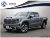 2023 GMC Sierra 1500 Denali (Stk: 25569A) in Orangeville - Image 1 of 32