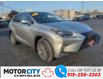 2019 Lexus NX 300 Base (Stk: 46778) in Windsor - Image 1 of 15