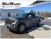 2020 GMC Sierra 1500 AT4 (Stk: TP25094A) in Sundridge - Image 1 of 18