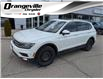 2019 Volkswagen Tiguan Highline (Stk: 25549A) in Orangeville - Image 1 of 21