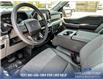 2023 Ford F-150 XLT (Stk: 23AT4986) in Airdrie - Image 13 of 25