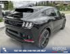 2023 Ford Mustang Mach-E Premium (Stk: 23CS9557) in Canmore - Image 11 of 25