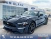 2021 Ford Mustang EcoBoost (Stk: P6037) in Olds - Image 1 of 25