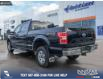 2020 Ford F-150 XLT (Stk: P5735) in Olds - Image 4 of 25