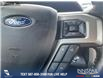 2020 Ford F-150 Lariat (Stk: P1318) in Canmore - Image 16 of 25