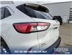 2022 Ford Escape SEL (Stk: U37265) in Red Deer - Image 10 of 24