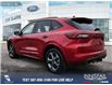 2024 Ford Escape ST-Line Select (Stk: U37318) in Red Deer - Image 4 of 25