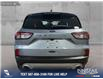 2022 Ford Escape SE (Stk: RC19508) in Airdrie - Image 5 of 25