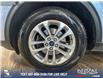2022 Ford Escape SE (Stk: RC19508) in Airdrie - Image 6 of 25