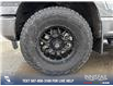 2022 Ford F-150 XLT (Stk: P6510) in Olds - Image 6 of 24