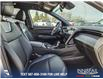 2024 Hyundai Santa Cruz Ultimate (Stk: U37319) in Red Deer - Image 22 of 25