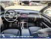 2024 Hyundai Santa Cruz Ultimate (Stk: U37319) in Red Deer - Image 24 of 25