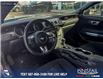 2021 Ford Mustang GT (Stk: P6530) in Olds - Image 13 of 23