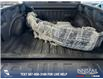 2023 Ford F-150 Tremor (Stk: P13878) in Airdrie - Image 12 of 25