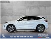 2024 Ford Escape ST-Line Elite (Stk: RC19569) in Airdrie - Image 3 of 25