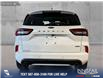 2024 Ford Escape ST-Line Elite (Stk: RC19569) in Airdrie - Image 5 of 25