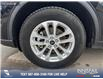 2023 Ford Escape PHEV (Stk: P6546) in Olds - Image 6 of 25