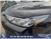 2023 Ford Escape PHEV (Stk: P6546) in Olds - Image 8 of 25
