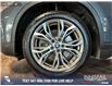 2017 BMW X1 xDrive28i (Stk: P13913) in Airdrie - Image 6 of 25