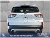 2020 Ford Escape SEL (Stk: BJ199) in Airdrie - Image 5 of 25