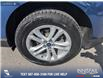 2020 Ford Edge SEL (Stk: P1361) in Canmore - Image 7 of 26