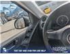 2013 Volkswagen Tiguan 2.0 TSI Trendline (Stk: P1330) in Canmore - Image 18 of 26