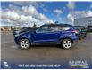 2015 Ford Escape SE (Stk: U37386) in Red Deer - Image 3 of 7