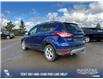 2015 Ford Escape SE (Stk: U37386) in Red Deer - Image 4 of 7