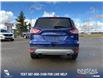 2015 Ford Escape SE (Stk: U37386) in Red Deer - Image 5 of 7