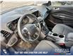 2015 Ford Escape SE (Stk: U37386) in Red Deer - Image 6 of 7