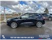 2021 Ford Escape Titanium (Stk: U37377) in Red Deer - Image 3 of 7
