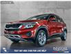 2023 Kia Seltos EX (Stk: BJ203) in Airdrie - Image 1 of 25