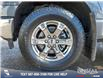 2021 Ford F-150 XLT (Stk: U37368) in Red Deer - Image 6 of 25