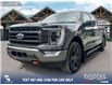 2022 Ford F-150  (Stk: P1369) in Canmore - Image 1 of 26
