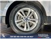 2019 Ford Edge SEL (Stk: P13962) in Airdrie - Image 6 of 25