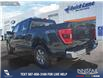 2021 Ford F-150 XLT (Stk: P6539) in Olds - Image 4 of 23