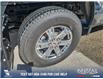 2021 Ford F-150 XLT (Stk: P6539) in Olds - Image 6 of 23