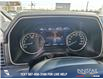 2021 Ford F-150 XLT (Stk: P6539) in Olds - Image 13 of 23