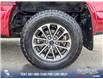2019 Ford F-150 XLT (Stk: U37383) in Red Deer - Image 6 of 24