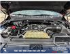2019 Ford F-150 XLT (Stk: U37383) in Red Deer - Image 10 of 24