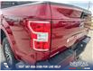 2019 Ford F-150 XLT (Stk: U37383) in Red Deer - Image 11 of 24