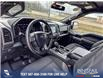 2019 Ford F-150 XLT (Stk: U37383) in Red Deer - Image 12 of 24