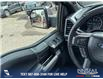 2019 Ford F-150 XLT (Stk: U37383) in Red Deer - Image 16 of 24