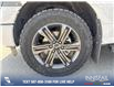 2022 Ford F-150 Lariat (Stk: P6563) in Olds - Image 6 of 25