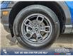 2023 Ford Bronco Sport Big Bend (Stk: U37416) in Red Deer - Image 6 of 25