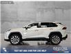 2019 Toyota RAV4 Limited (Stk: P13978) in Airdrie - Image 3 of 24